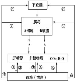 图片_x0020_100019