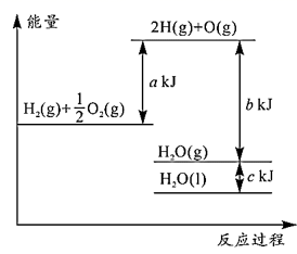 图片_x0020_100005