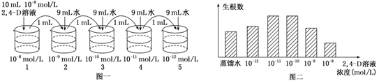 图片_x0020_100017