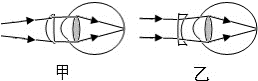 图片_x0020_100017