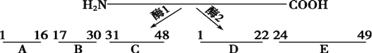 图片_x0020_100008