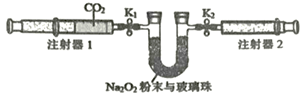 图片_x0020_100013