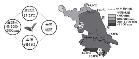 图片_x0020_100006