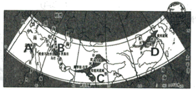 图片_x0020_100005