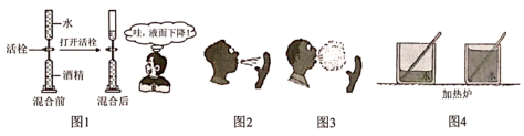 图片_x0020_100001