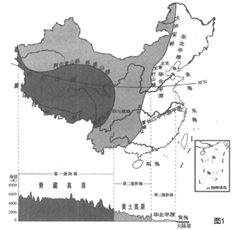 图片_x0020_100009