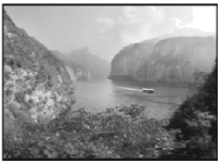 图片_x0020_100012