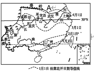 图片_x0020_100009