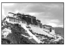 图片_x0020_100010