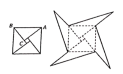 图片_x0020_100018