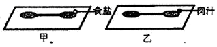 图片_x0020_100003