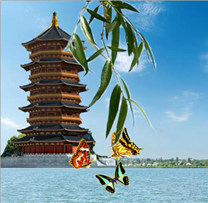 图片_x0020_272