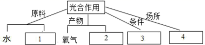 图片_x0020_100004