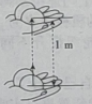 图片_x0020_961386036