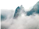 图片_x0020_100013