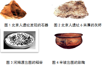 图片_x0020_100013
