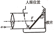 图片_x0020_1060316446