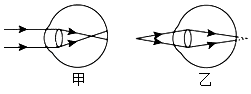 图片_x0020_100012