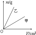 图片_x0020_100020