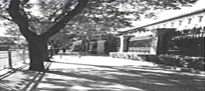 图片_x0020_100003