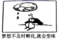 图片_x0020_100001