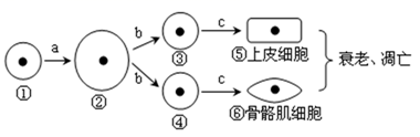 图片_x0020_100007