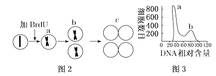 图片_x0020_556131586
