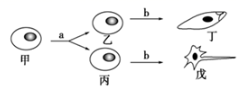 图片_x0020_661347910