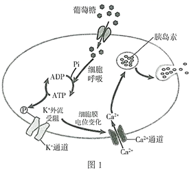 图片_x0020_100006