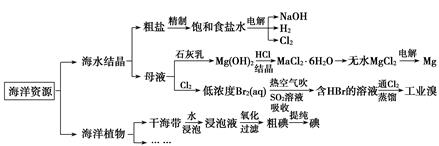 图片_x0020_100014