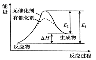 图片_x0020_100004