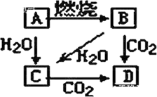 图片_x0020_100002