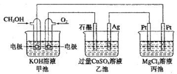 图片_x0020_100018