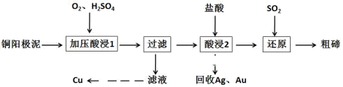 图片_x0020_100023