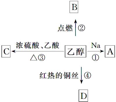 图片_x0020_100022