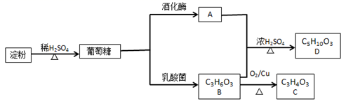 图片_x0020_100029