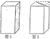 图片_x0020_100001