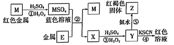 图片_x0020_100014