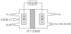 图片_x0020_100003