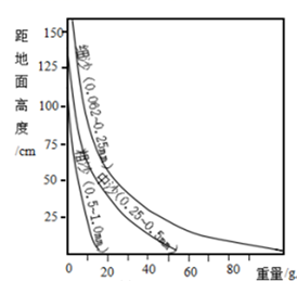 图片_x0020_100006