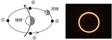 图片_x0020_100008