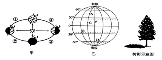 图片_x0020_100028