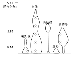 图片_x0020_100005