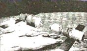 图片_x0020_100002