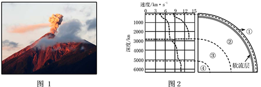 图片_x0020_100018