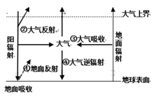 图片_x0020_100005