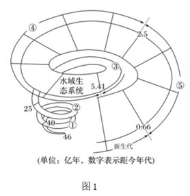 图片_x0020_100021