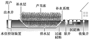 图片_x0020_100013