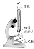 图片_x0020_100035