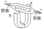 图片_x0020_100019